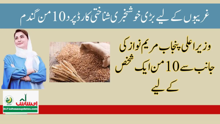 10 Maunds of Wheat for the Poor Examining Maryam Nawaz's Wheat Program in Punjab