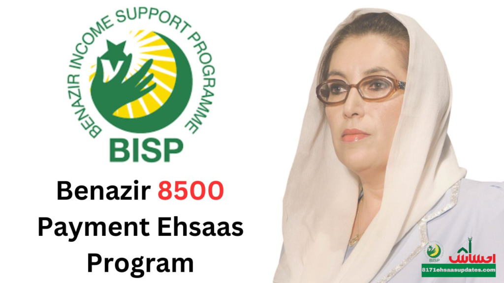 Ehsaas Program CNIC Check Online 25000 Registration 2024