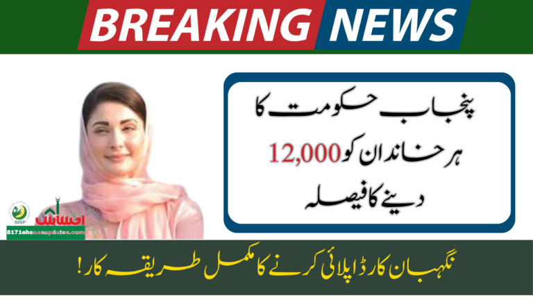 Maryam Nawaz Negahban Card Program 2024 Full Details